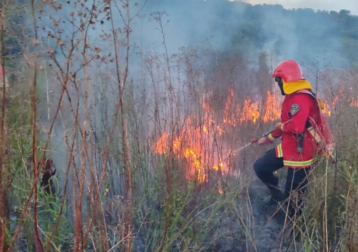 Elevan a naranja la alerta por riesgos de incendios tras la ola de calor en Misiones