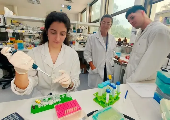 Avanzan en el desarrollo de un test rápido y económico para detectar el dengue